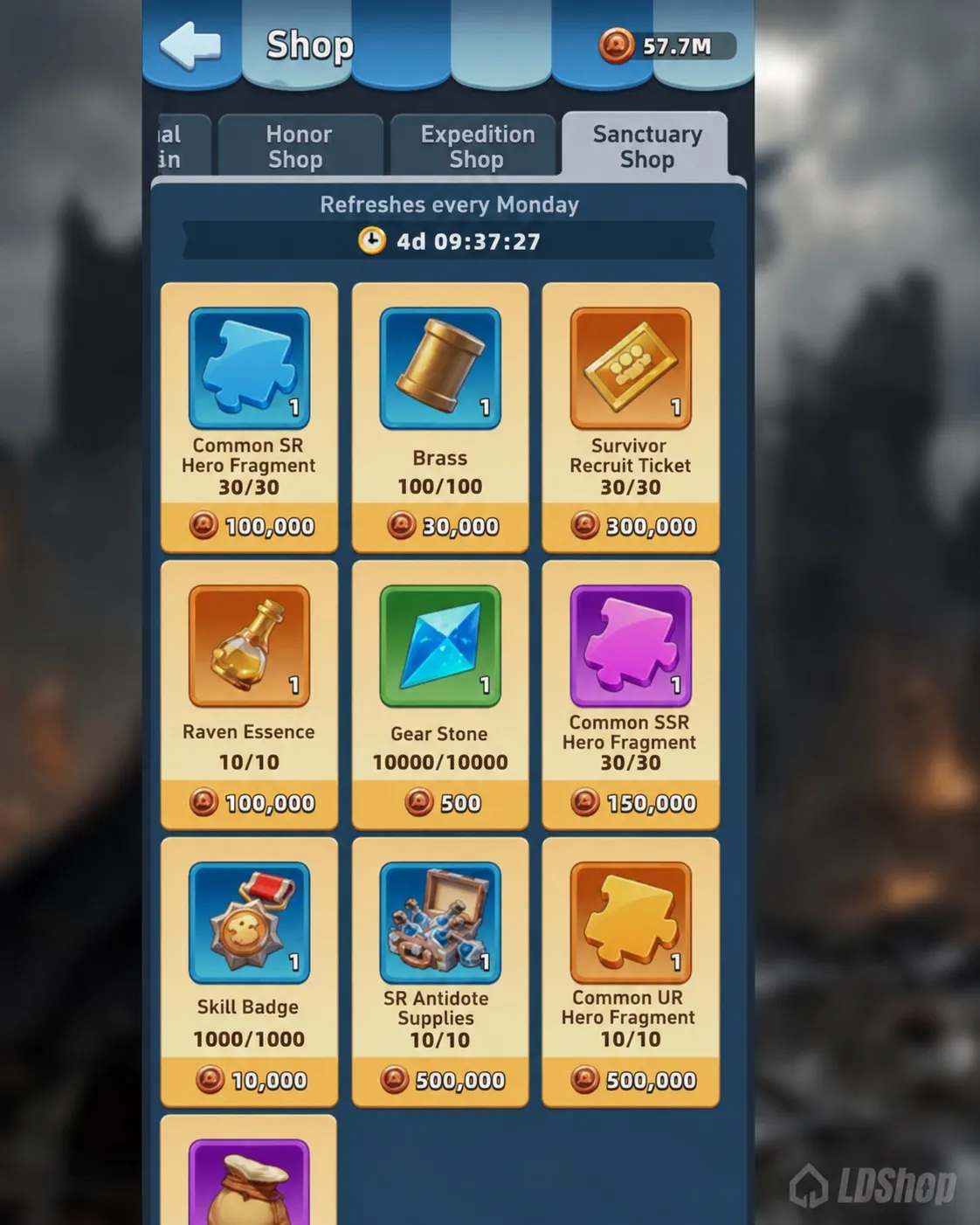 Last Asylum Sanctuary shop