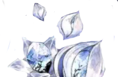 980 Phoxene Plumule | Duet Night Abyss