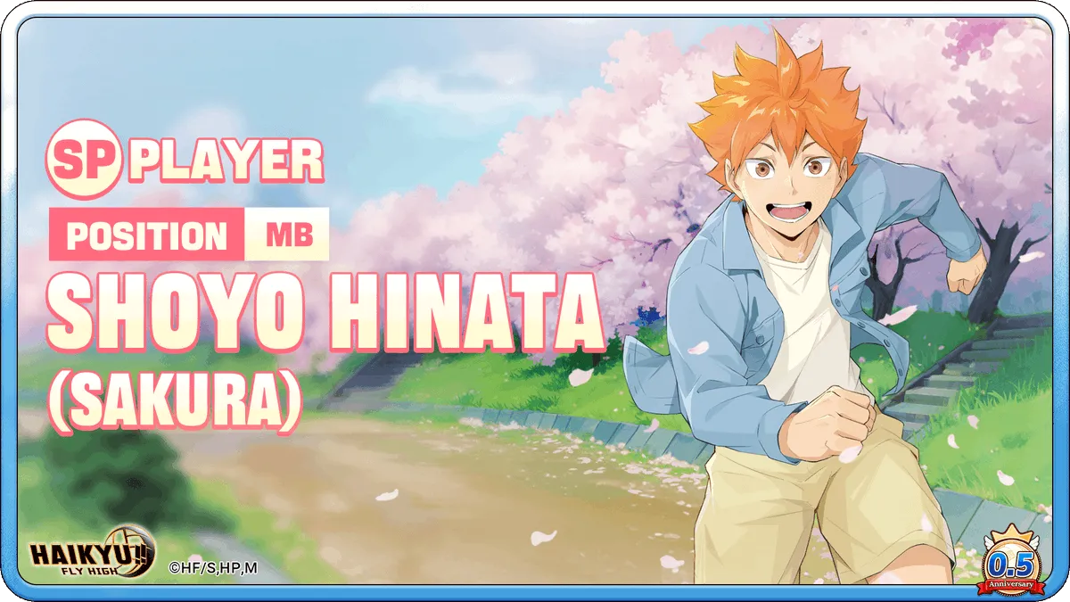 Shoyo Hinata (SP)