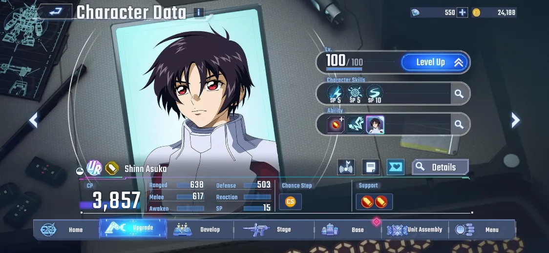 Shinn Asuka (support)