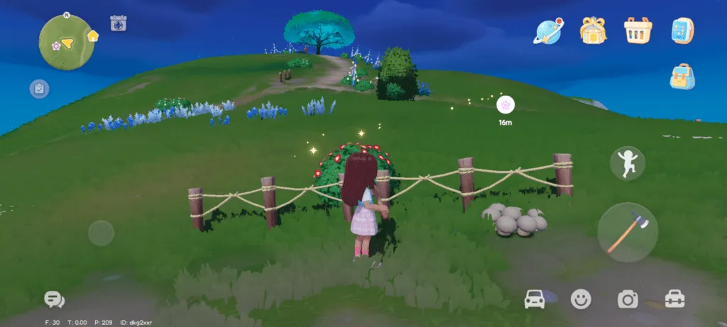 Understanding How Mushrooms Spawn