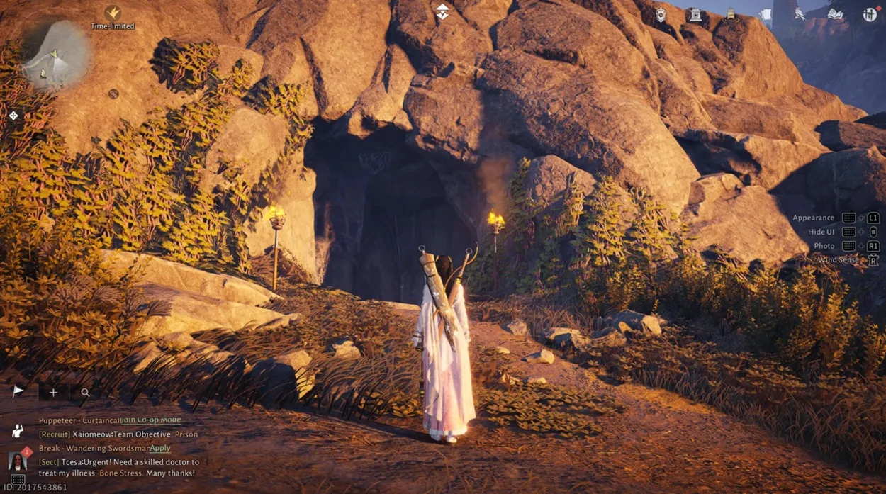Best Pet Companion