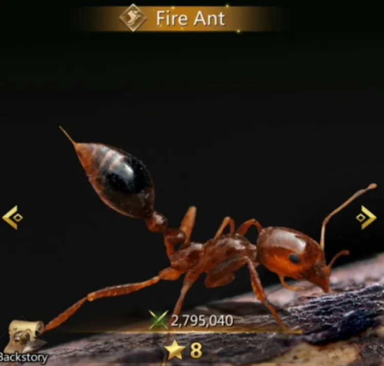 Fire Ant